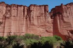 Les murs du canyon de Talampaya.
Rotsmuren tot in de hoogte van 150 meter.