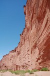 Les parois de Talampaya atteignent 150 mtre de haut.
Rotsmuren van enorme hoogte.