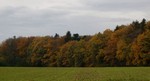 Automne  Cossonay.
Hersftkleuren in het bos bij Cossonay