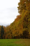 Les couleurs de la campagne en automne.
De natuur.