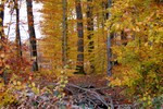 Mlange de couleurs.