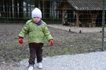 In de dierentuin..