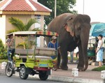 Scne de rue  Phnom Penh