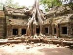 La jungle a repris ses droits, Ta Prohm