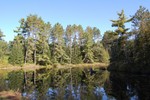 Parc de la Mauricie.