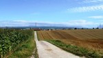 Het platteland...en al zijn uitgestrektheid.