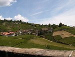 Le Lavaux.
Langs lac Lman.