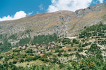 Upper Pisang