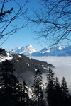 La mer de brouillard dans la valle du Rhne.
Morgins.