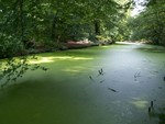 L'eau est omniprsente en Hollande