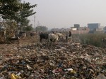 Un bord de route en Inde....