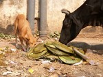 Le partage du repas