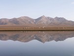 La lumire matinale sur le campement de la veille