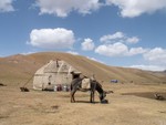 Campement nomade au bord de Son Kol