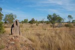 Une des multiples termitires de la savane