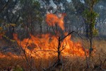 Le nettoyage par le feu 