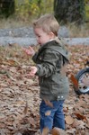 In het bos lopen en nieuw fototoestel uitproberen.