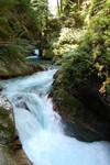 Toujours dans les gorges de Vintgar.