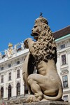 Les Habsbourg avaient un petit faible pour le lion...