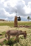 10 minutes de marche hors de Sucre, et on change de sicle.
Twee werelden die bij elkaar komen.