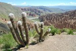 Dans la rgion de San Antonio de Lipez, 1er jour du South Circuit.
Rotsformatie in de regio San Antonio de Lipez.