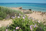 Oyster Stacks dans le parc de Ningaloo