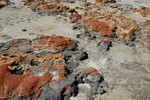 Stromatolites inactifs, qui ont tourn rouge pour on ne sait quelle raison