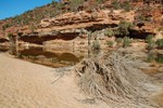 La Murchison River dans le parc national de Kalbarri