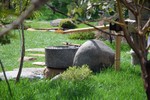 Jardin Japonais au Jardin Botanique